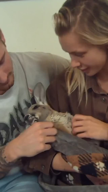 Josie Canseco instagram post 791040