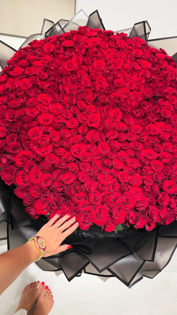 Kady McDermott instagram post 790464