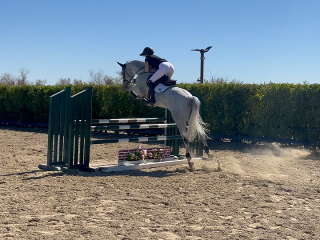 Kendall Jenner instagram post 791277