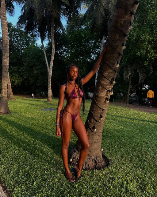 Leomie Anderson instagram post 782447