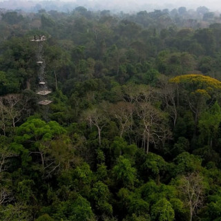 Leonardo DiCaprio инстаграм фото