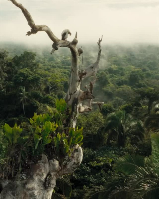 Leonardo DiCaprio instagram post 790371