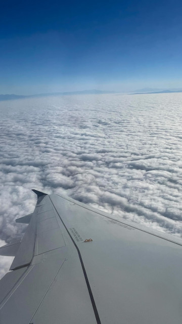 Lindsay Rienstra instagram post 780203