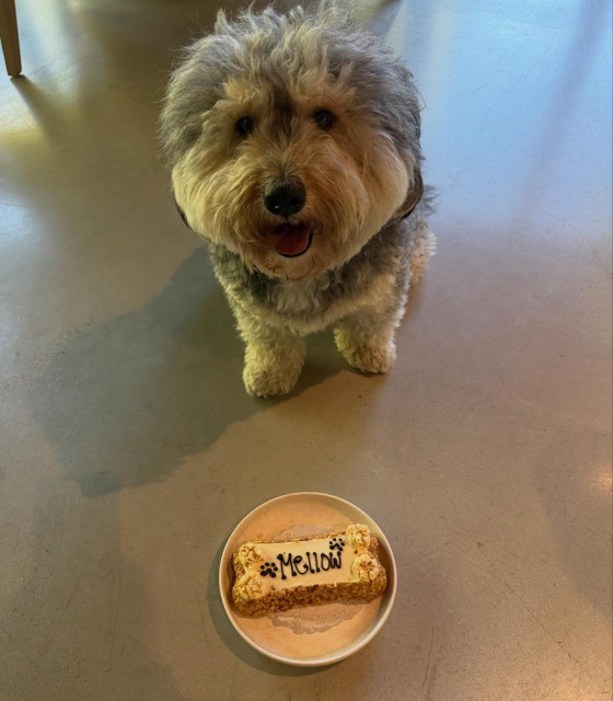 Noah Cyrus instagram post 790692