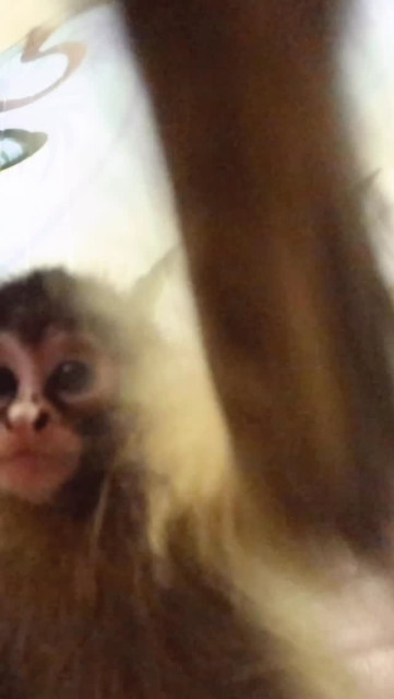 Olivia Ponton instagram post 793402