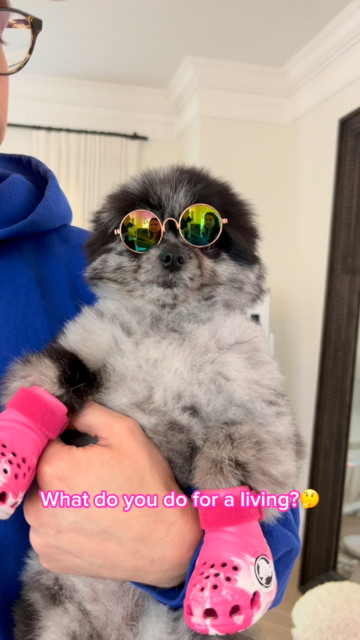 Paris Hilton instagram post 788150