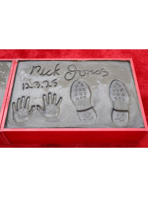 Priyanka Chopra instagram post 792271