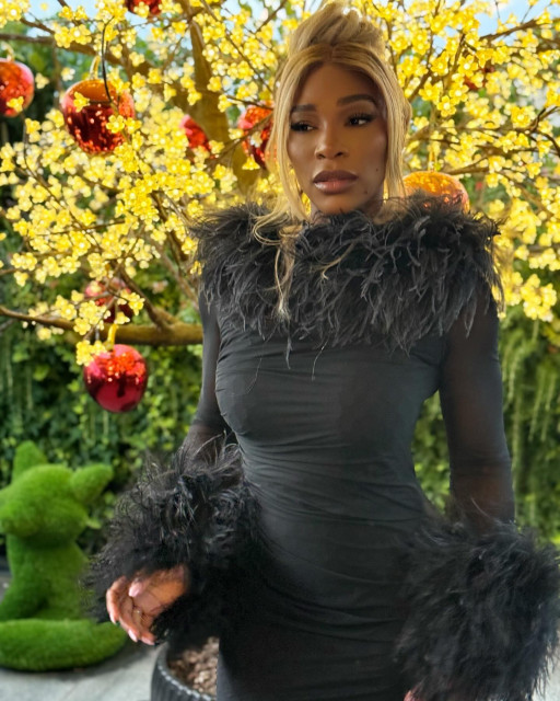 Serena Wiliams instagram post 789345