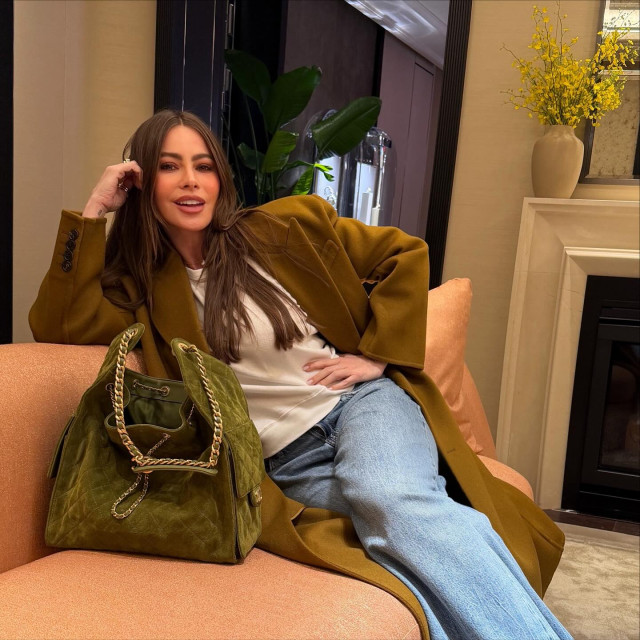Sofia Vergara instagram post 790377
