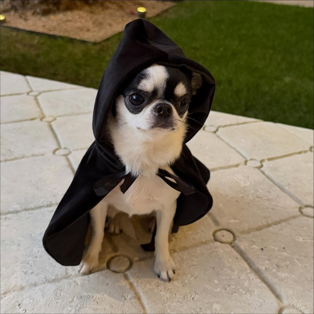 Sofia Vergara instagram post 790588