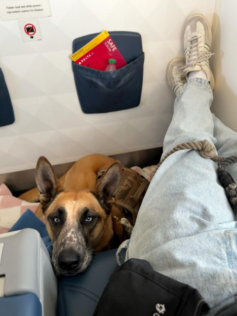 Taylor Lautner instagram post 784968