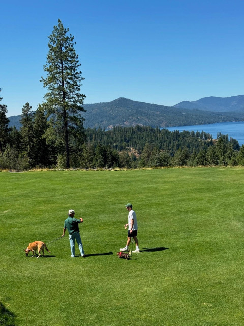 Taylor Lautner instagram post 787803
