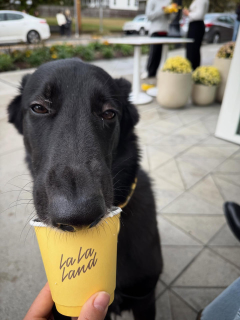 Taylor Hill instagram post 791368