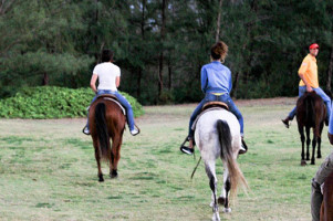 Рианна неплохо развлекается на Гавайях