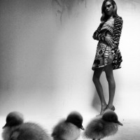 Кара Делевинь снялась со милыми зверушками