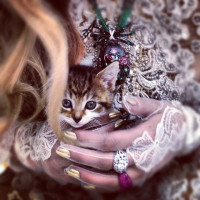 Кара Делевинь снялась со милыми зверушками