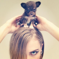 Кара Делевинь снялась со милыми зверушками