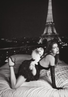 Кот Карла Лагерфельда снялся вместе с Летицией Кастой