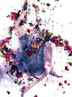 Цветочная фотосенссия Сюзанны Бийох