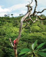 Карли Клосс путешествует по Никарагуа