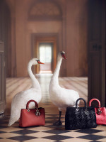 Рождественская сказка от Dior