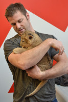 Дейв Салмони