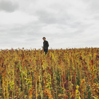 Александр Гилкс