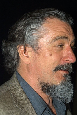 photo 27 in Robert Deniro gallery [id65024] -0001-11-30 00:00:00