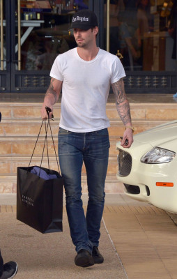 Adam Levine pic #584736