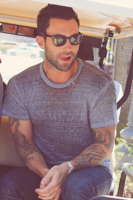 Adam Levine pic #561555