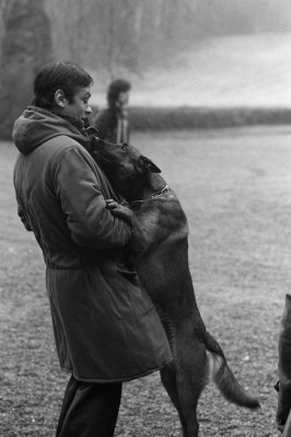 Alain Delon pic #365455