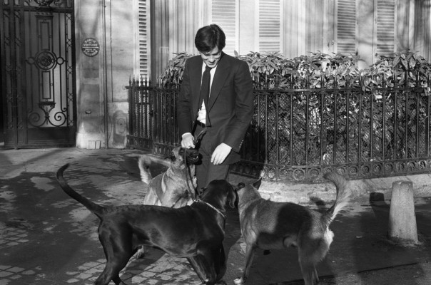 Alain Delon pic #366569