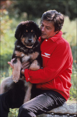 photo 6 in Alain Delon gallery [id514757] 2012-05-23 00:00:00