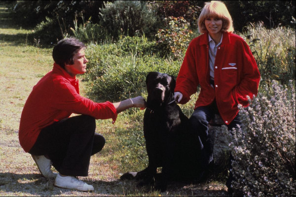 Alain Delon pic #485292