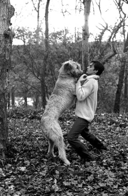 Alain Delon pic #493080