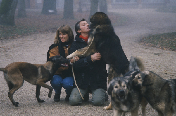 photo 8 in Alain Delon gallery [id500844] 2012-04-23 00:00:00