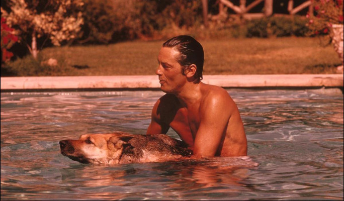 Alain Delon pic #400097