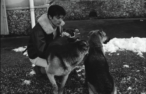 Alain Delon pic #280727