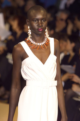 Alek Wek