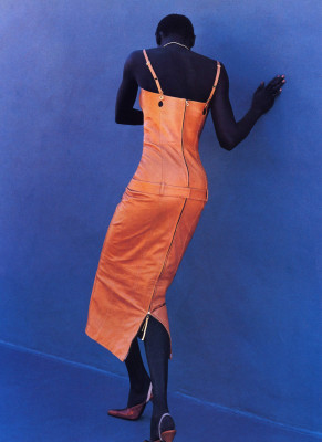 photo 4 in Alek Wek gallery [id158337] 2009-05-15 00:00:00