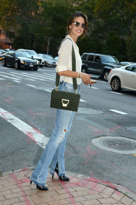 Alessandra Ambrosio pic #831448
