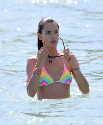 Alessandra Ambrosio pic #593283