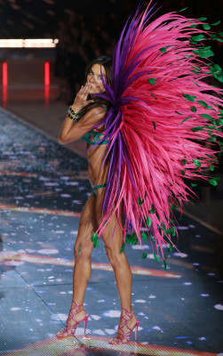 Alessandra Ambrosio pic #844839