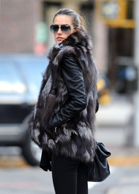 Alessandra Ambrosio pic #436758