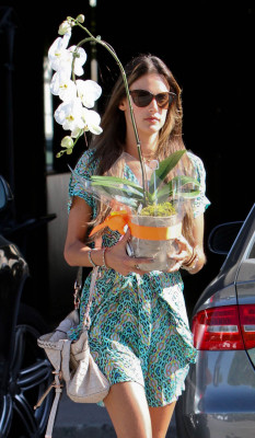 Alessandra Ambrosio pic #628473