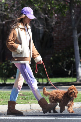 ALESSANDRA AMBROSIO and Nicolo Oddi Out with Their Dogs in Santa Monica 03/17/20