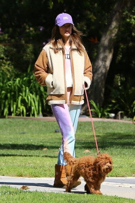ALESSANDRA AMBROSIO and Nicolo Oddi Out with Their Dogs in Santa Monica 03/17/20
