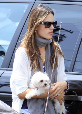 Alessandra Ambrosio pic #526578