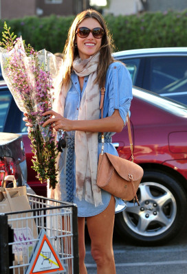 Alessandra Ambrosio pic #535766