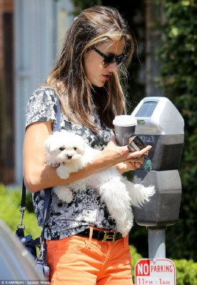 Alessandra Ambrosio pic #642593